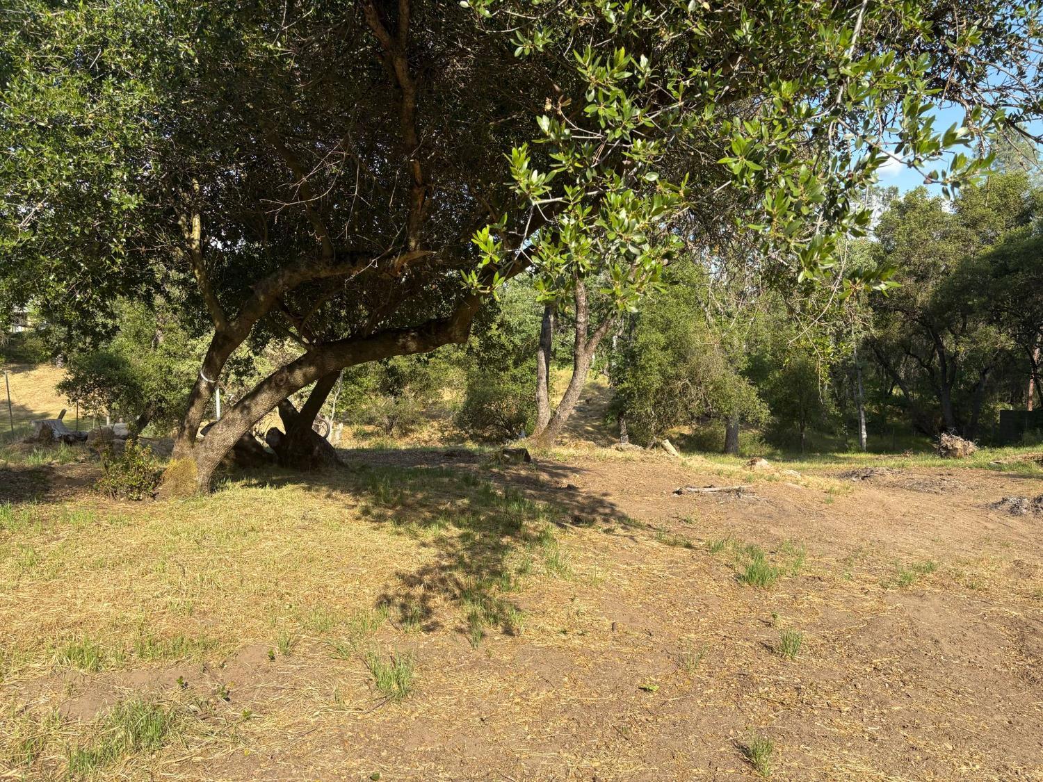 Land in Coarsegold 3