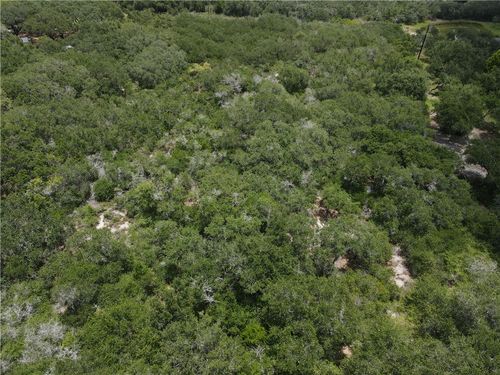 1738 Morgan Ln, Ingleside, TX, 78362-9774 | Card Image