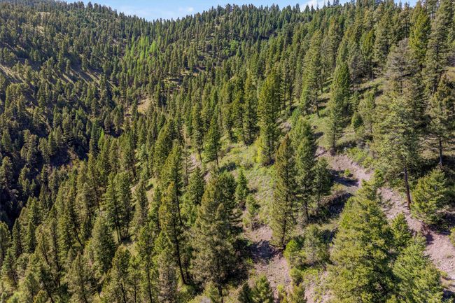 25575 Patter Spur Rd, Home with 0 bedrooms, 0 bathrooms and null parking in Clinton MT | Image 4