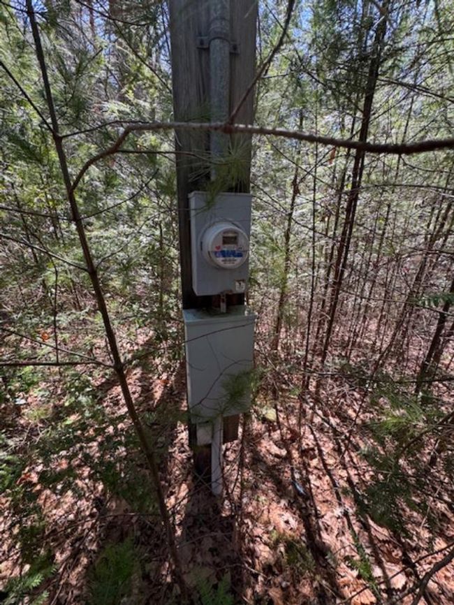 0 Buck Hollow Trl, Home with 0 bedrooms, 0 bathrooms and null parking in Sugar Grove VA | Image 13