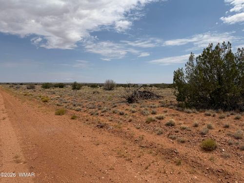 4-Lot 562 Chevelon Canyon Ranch Drive, Heber, AZ, 85928 | Card Image