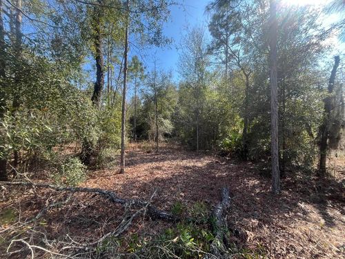 6291 Drake Ave, KEYSTONE HEIGHTS, FL, 32656-8920 | Card Image