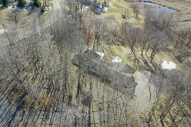 Wooded Lot | Image 5