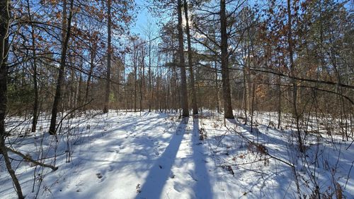 40-acres-OFF Clear Lake Rd, ELCHO, WI, 54428 | Card Image