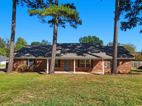 297 Vanita Loop, Pottsville, AR, 72858 | Card Image