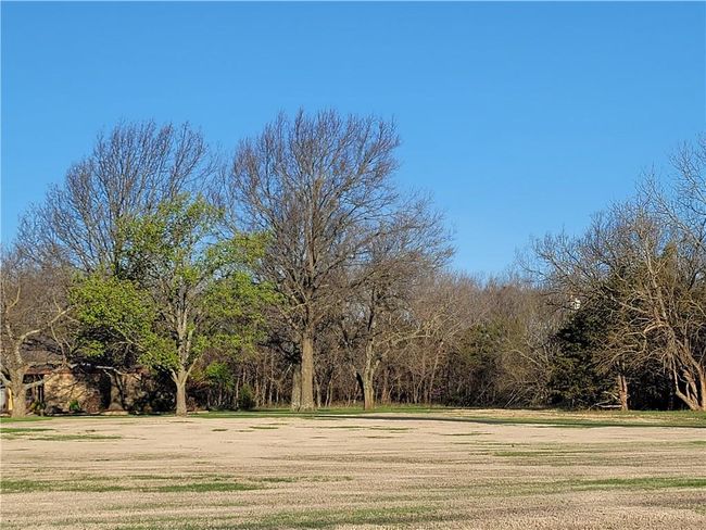 View of yard | Image 79