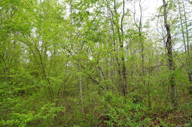 0 Walker Rd, Home with 0 bedrooms, 0 bathrooms and null parking in Brookneal VA | Image 5