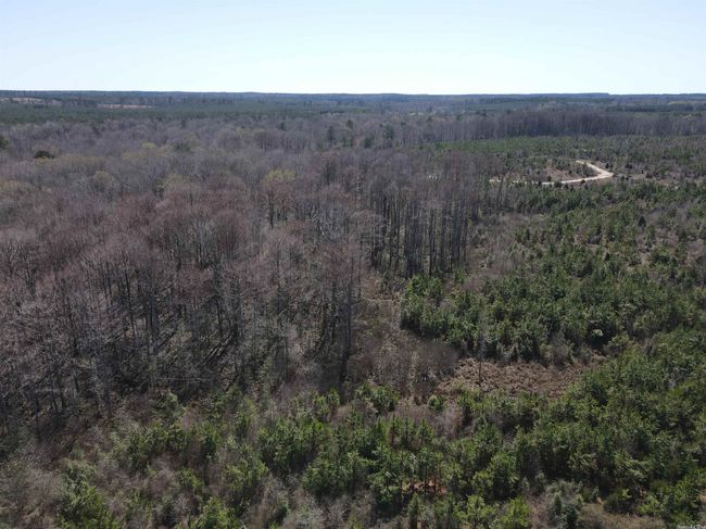 00 Highway 278 Highway, Home with 0 bedrooms, 0 bathrooms and null parking in Rosston AR | Image 15