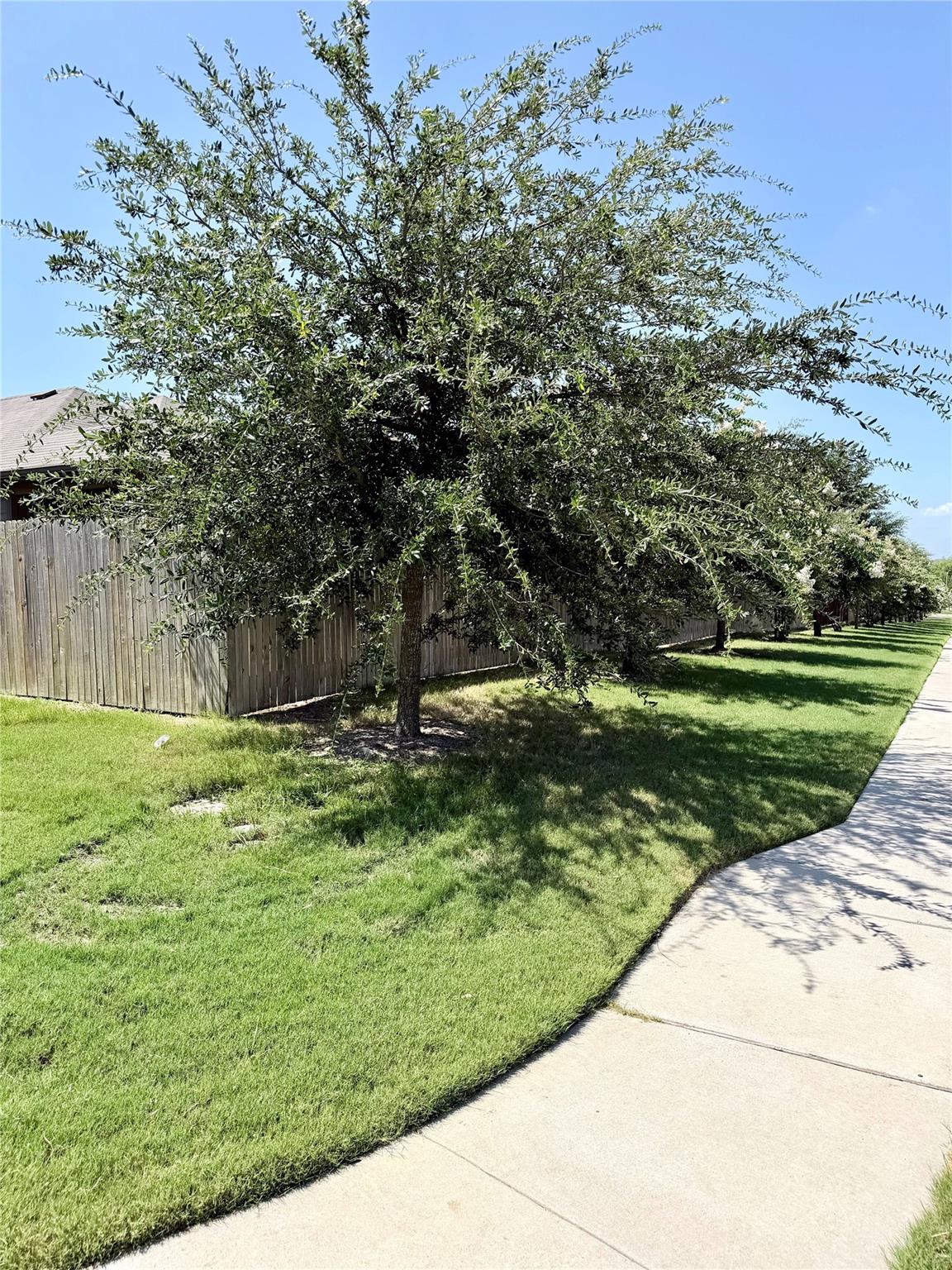 Residential in Pflugerville 5