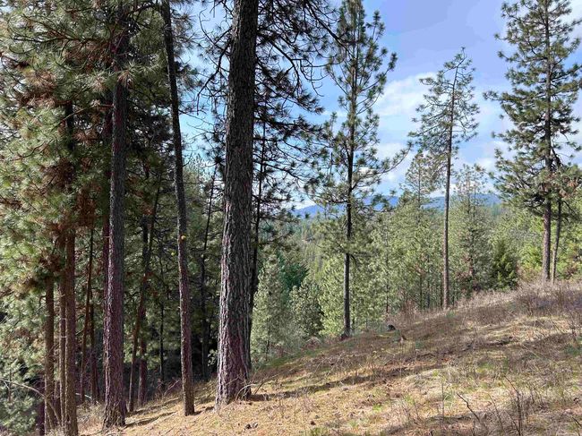 5491 Sailor Rd, Home with 0 bedrooms, 0 bathrooms and null parking in Deer Park WA | Image 27