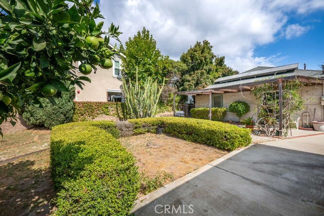 View from backyard | Image 39