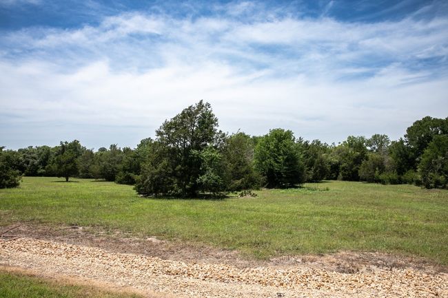 View of wooded area featuring a view of countryside | Image 8