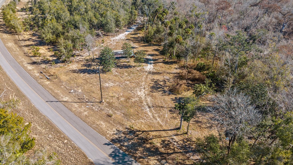 Land in Steinhatchee 3