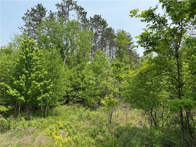 15014 Silver Creek Rd, House other with 1 bedrooms, 1 bathrooms and null parking in Birnamwood WI | Image 33