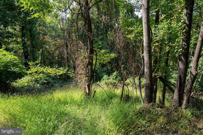 Lot 3 Price Ridge Rd, Home with 0 bedrooms, 0 bathrooms and null parking in STANLEY VA | Image 36