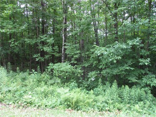 99 Woods Avenue, Birchwood, WI, 54817 | Card Image