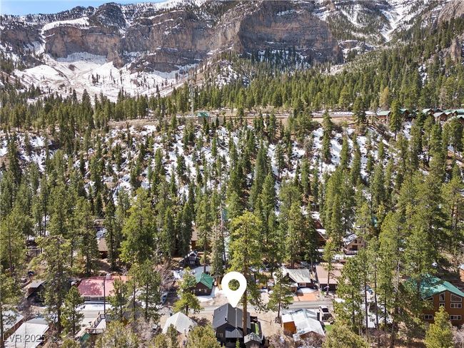 4578 Yellow Pine Ave, House other with 1 bedrooms, 1 bathrooms and null parking in Mount Charleston NV | Image 50