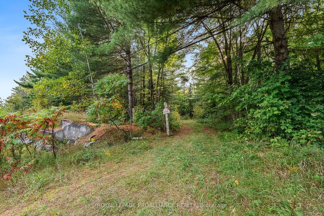 00 Highway 41, Home with 0 bedrooms, 0 bathrooms and null parking in Kaladar ON | Image 15