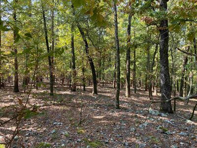 11 Hillside Trail, Home with 0 bedrooms, 0 bathrooms and null parking in Mount Ida AR | Image 2