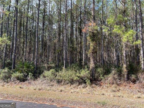 LOT 67 Waverly Ln, White Oak, GA, 31568 | Card Image