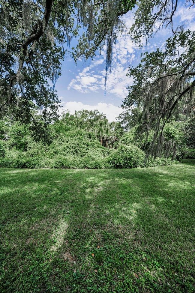 View From Back | Image 36