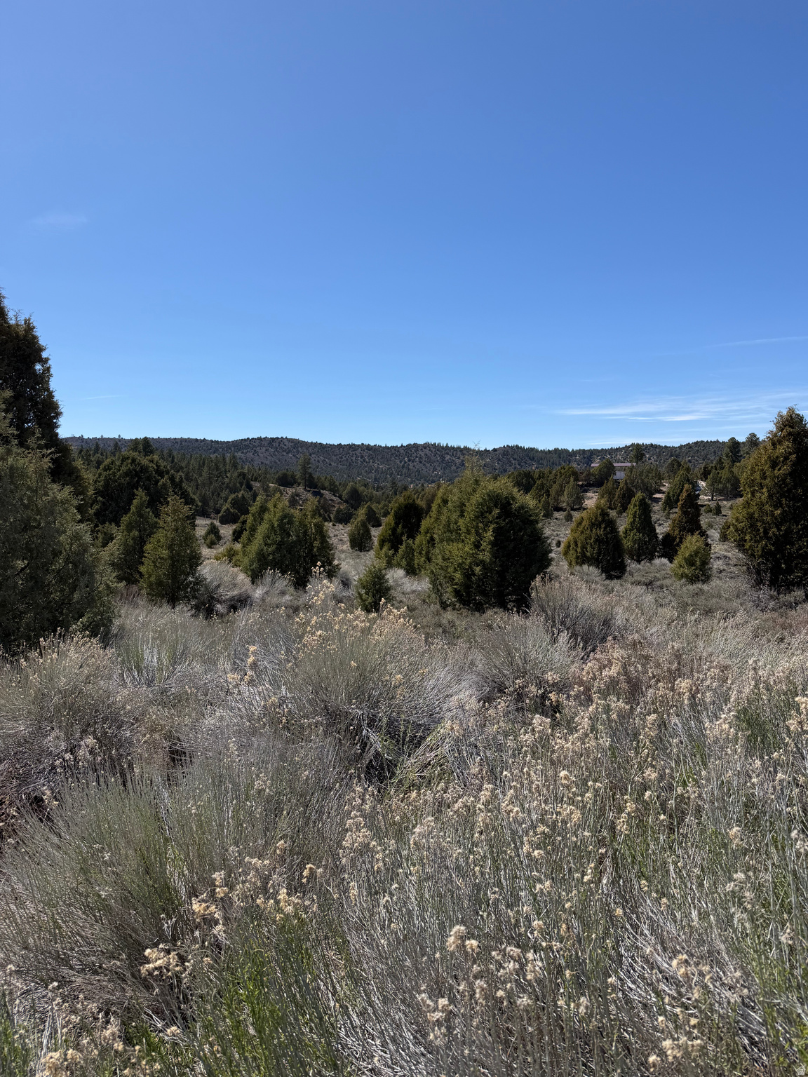 Land in Alton 4