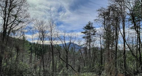 6 Hayes Trail Drive, Cashiers, NC, 28717 | Card Image