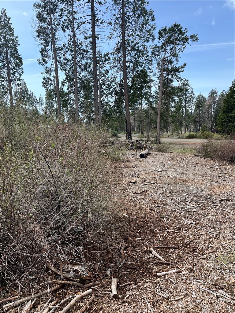 Land in Magalia 5