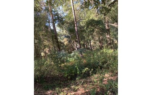 12 Se Earl Blvd, Branford, FL, 32008 | Card Image