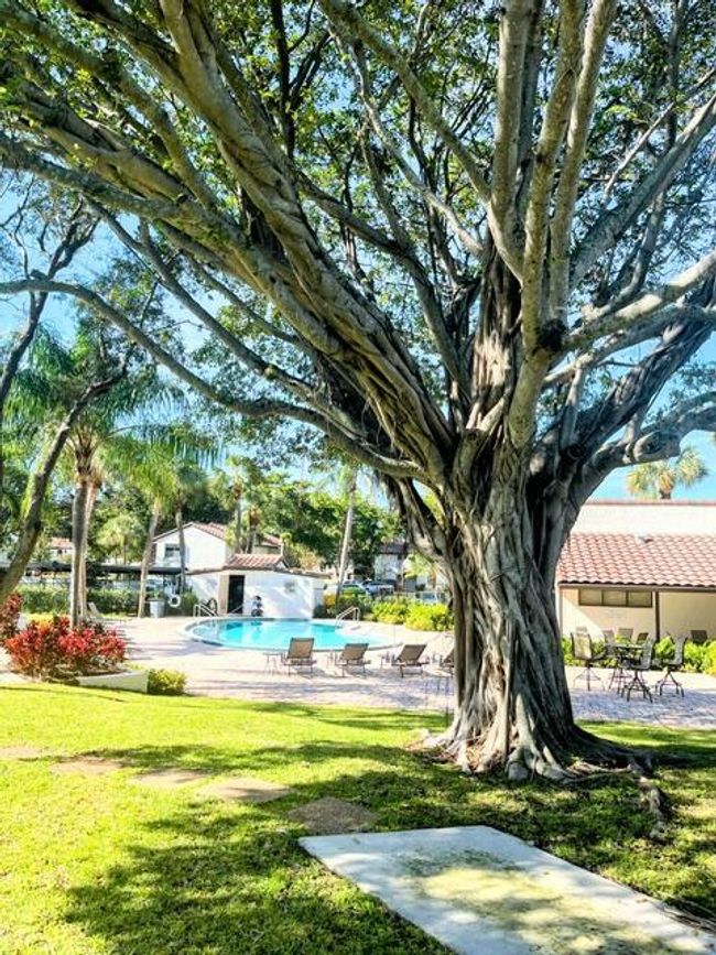 APT-32 - 7200 Nw 2 Nd Ave, Condo with 2 bedrooms, 2 bathrooms and null parking in Boca Raton FL | Image 26