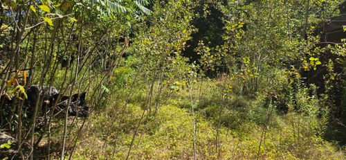 663 Morrill Pond Road, Hartland, ME, 04943 | Card Image