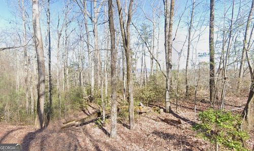 0 Eastman Mountain Rd, Tiger, GA, 30576 | Card Image