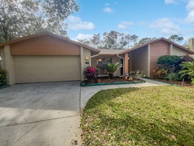 16504 Cranwood Place, House other with 4 bedrooms, 2 bathrooms and null parking in Tampa FL | Image 1