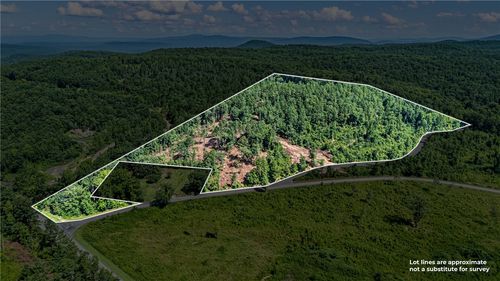 19 Acres Off Old 3 Knob Mountain Road, Dover, AR, 72837 | Card Image