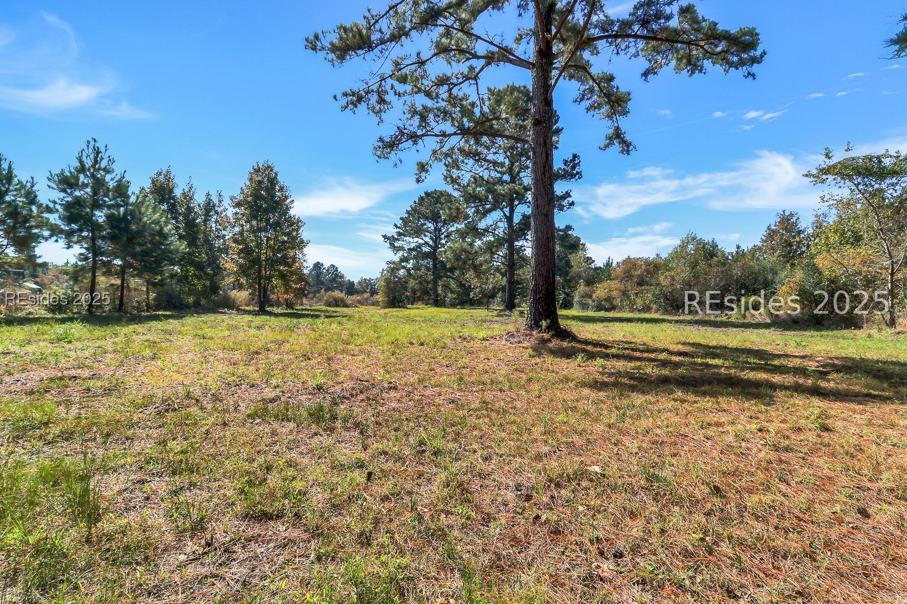 Land in Ridgeland 4