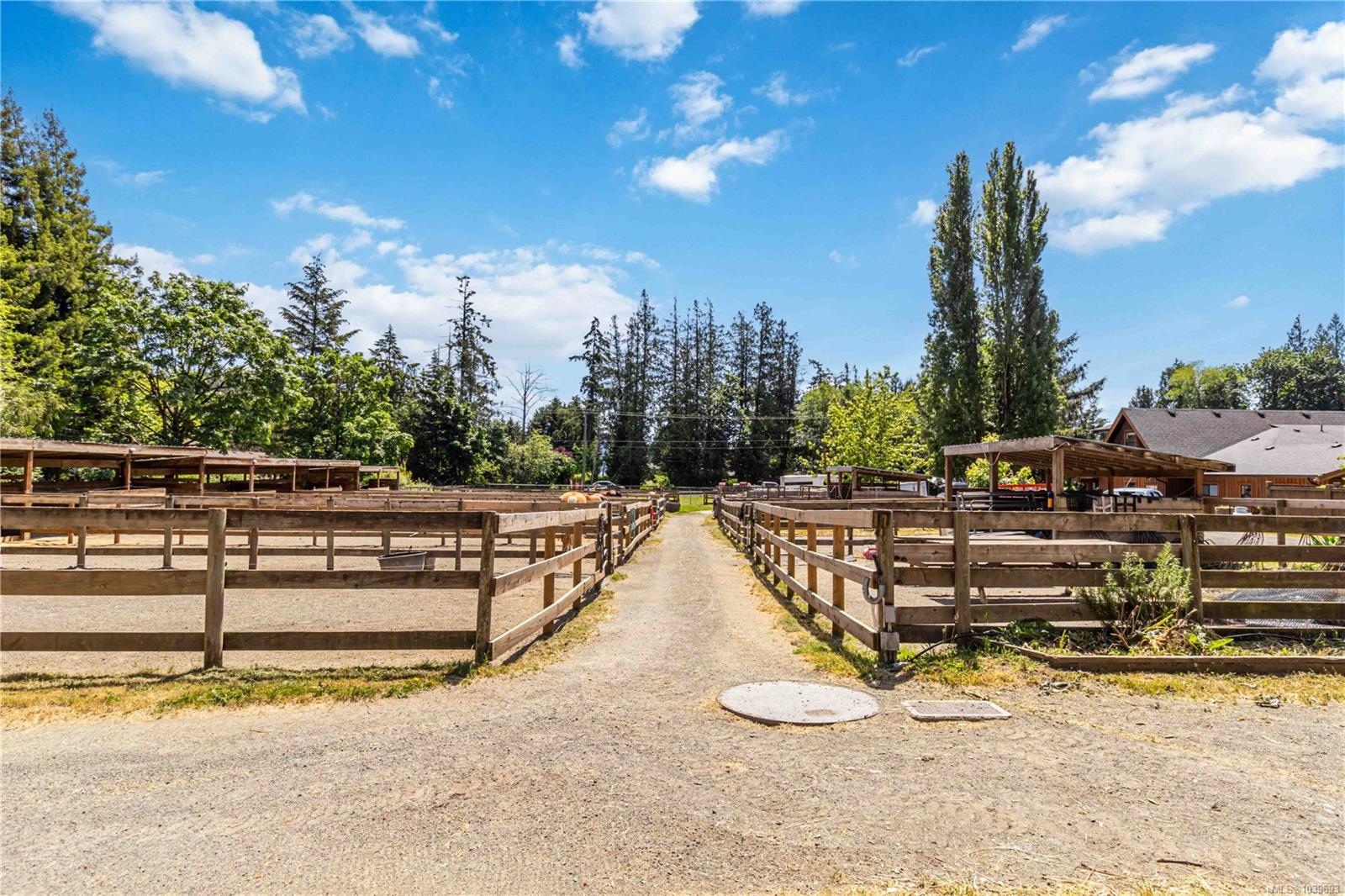 Residential in Sooke 4