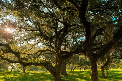1280 Us 90a Highway, Weimar, TX, 77475 | Card Image