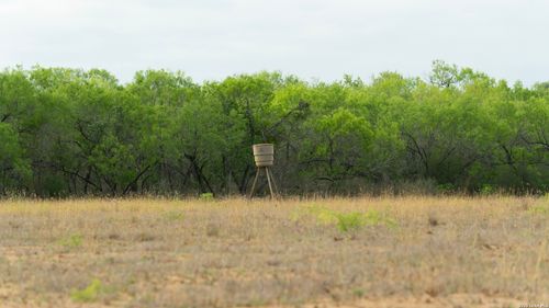 872 Rodriguez Ln, Pleasanton, TX, 78064-2360 | Card Image