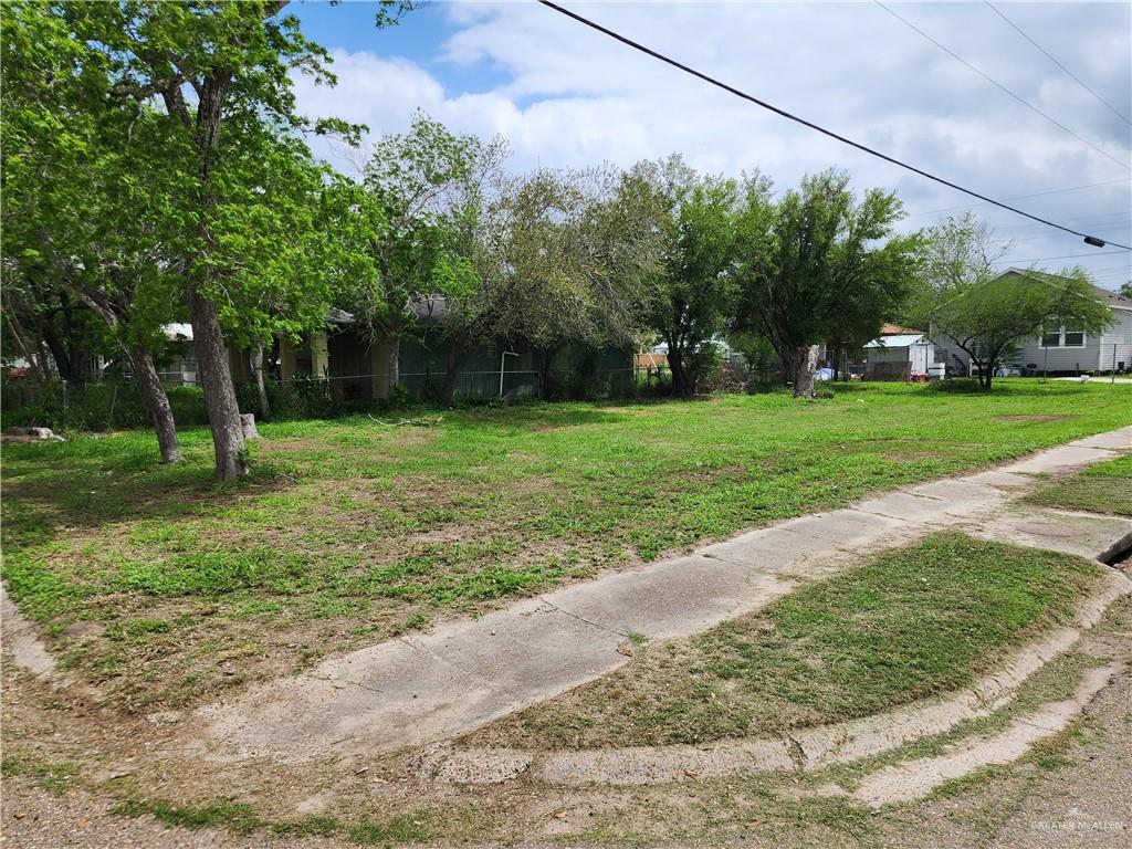 Land in Raymondville 2