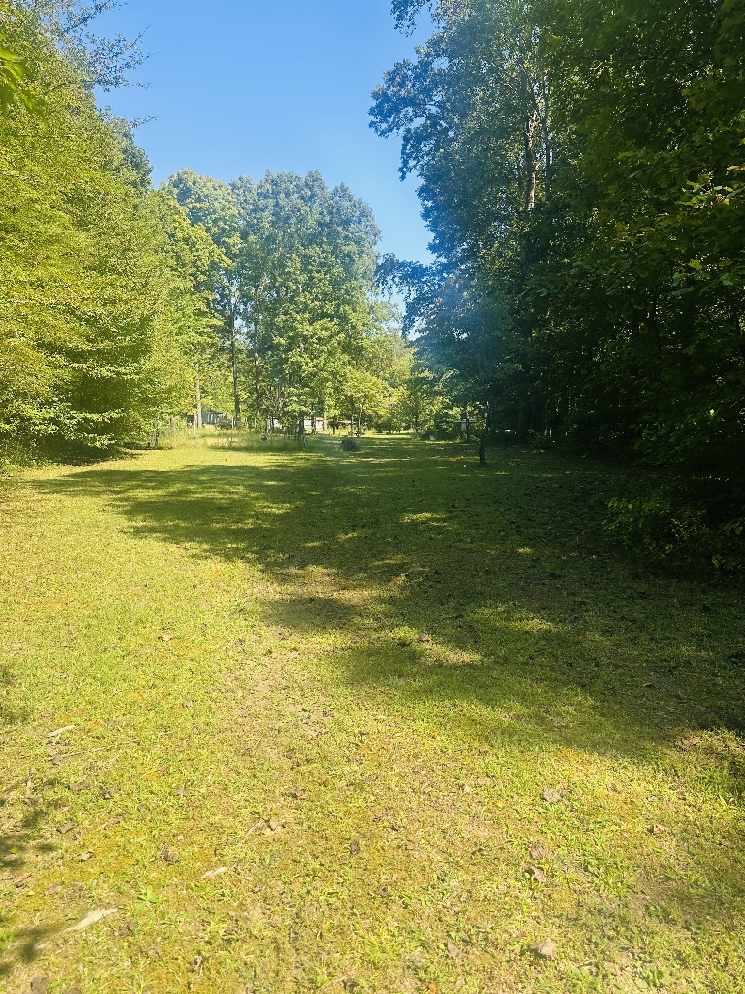Land in Savannah