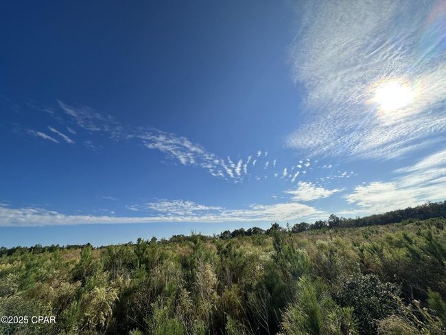 2332-AC - Tract#6201 W Co Hwy 181 Nat B 01, Home with 0 bedrooms, 0 bathrooms and null parking in Defuniak Springs FL | Image 7