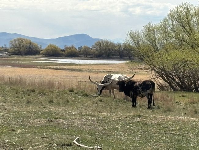Mountain view featuring a water view and a rural view | Image 80