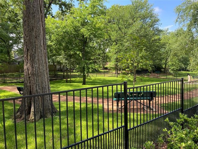 Neighborhood dog park. | Image 47