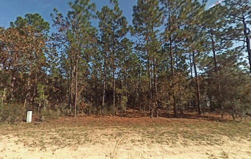 TBD Sw 166th Court Rd, OCALA, FL, 34481 | Card Image