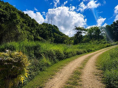 1 Pr-686 Km 1.2 Interior, Manati, PR, 00674 | Card Image