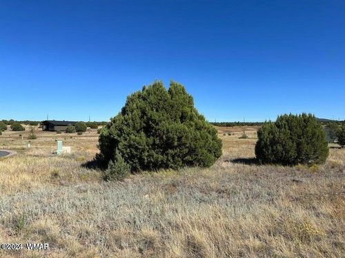 1b-lot-36-960 S Ridgecreek Lane, Show Low, AZ, 85901 | Card Image