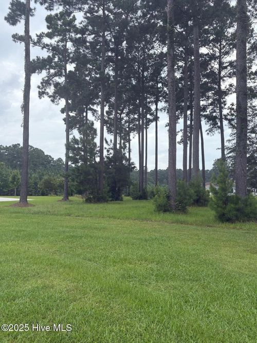 5-2808 Waterleaf Pt, New Bern, NC, 28562-8007 | Card Image