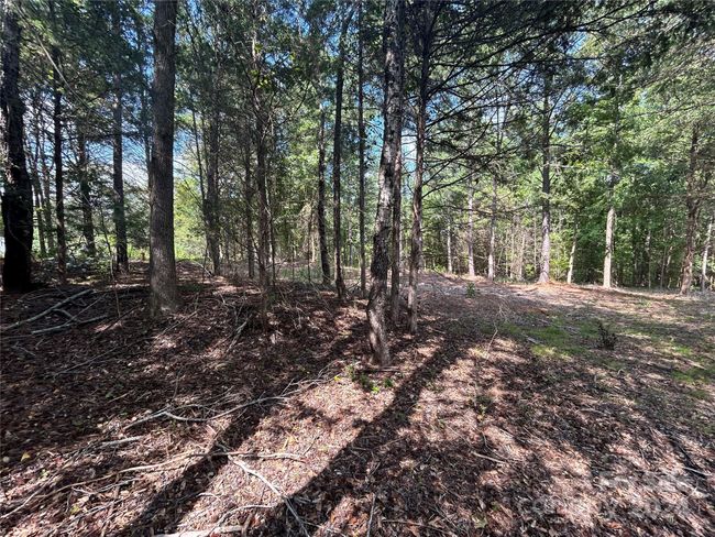 5630 Woodsferry Rd, Home with 0 bedrooms, 0 bathrooms and null parking in Carlisle SC | Image 14
