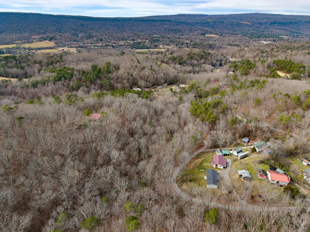 Land in Rossville 4