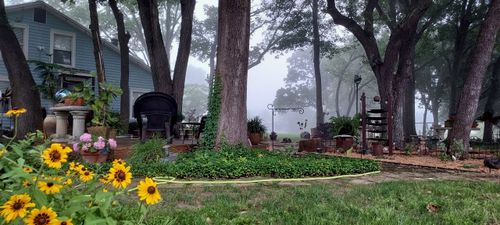 12244 Nw County Road 2290, Blooming Grove, TX, 76626-9764 | Card Image